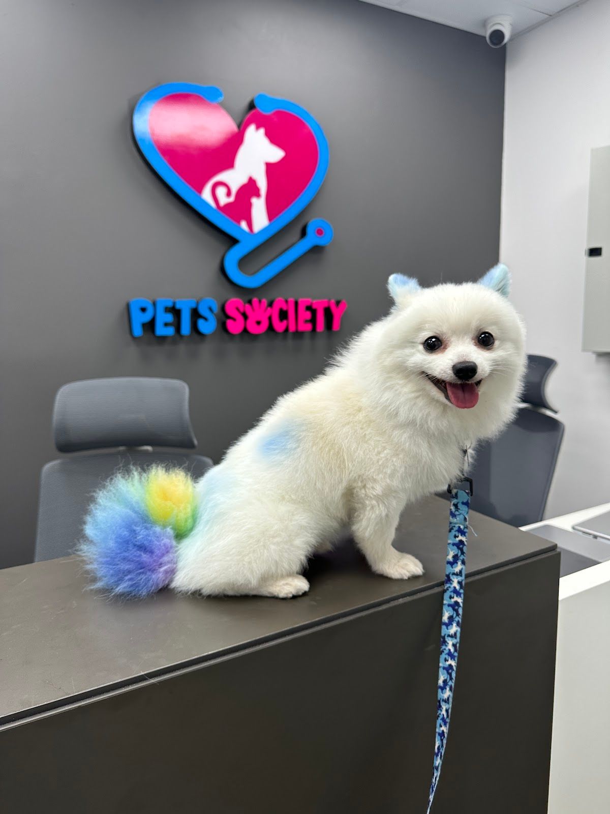 Pets Society Veterinary Clinic 2
