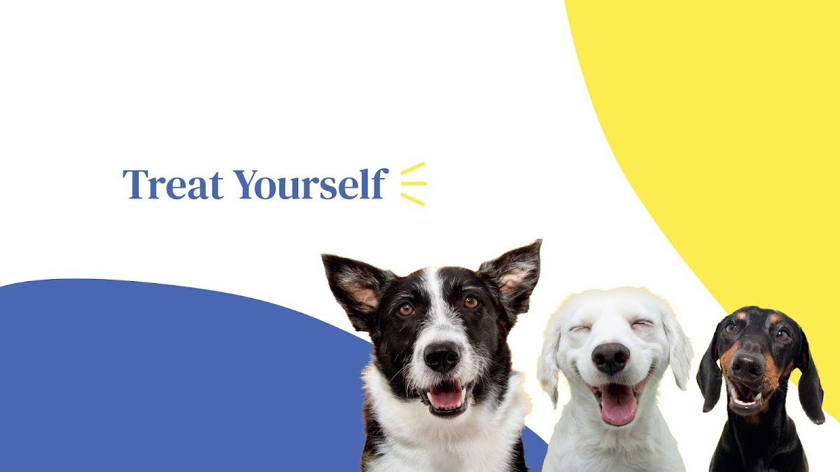 The Barking Lot | Al Quoz