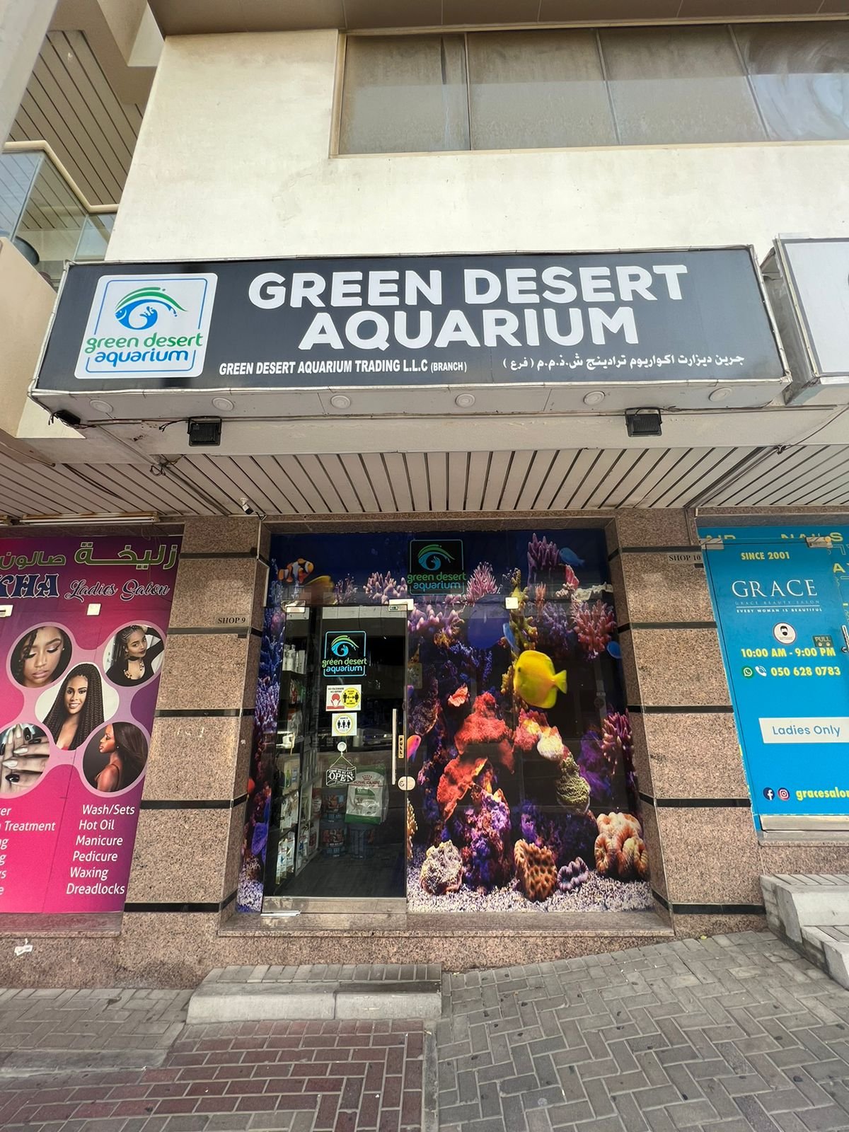 Green Desert Aquarium (Marine Branch)