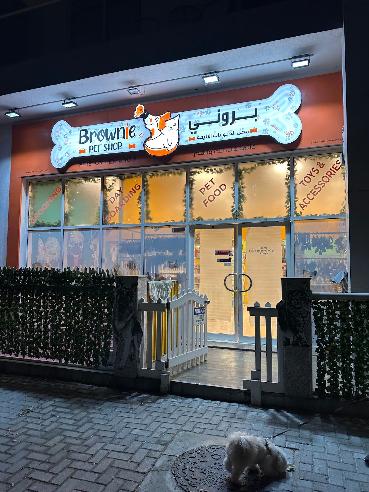 Brownie Pet Shop UAE