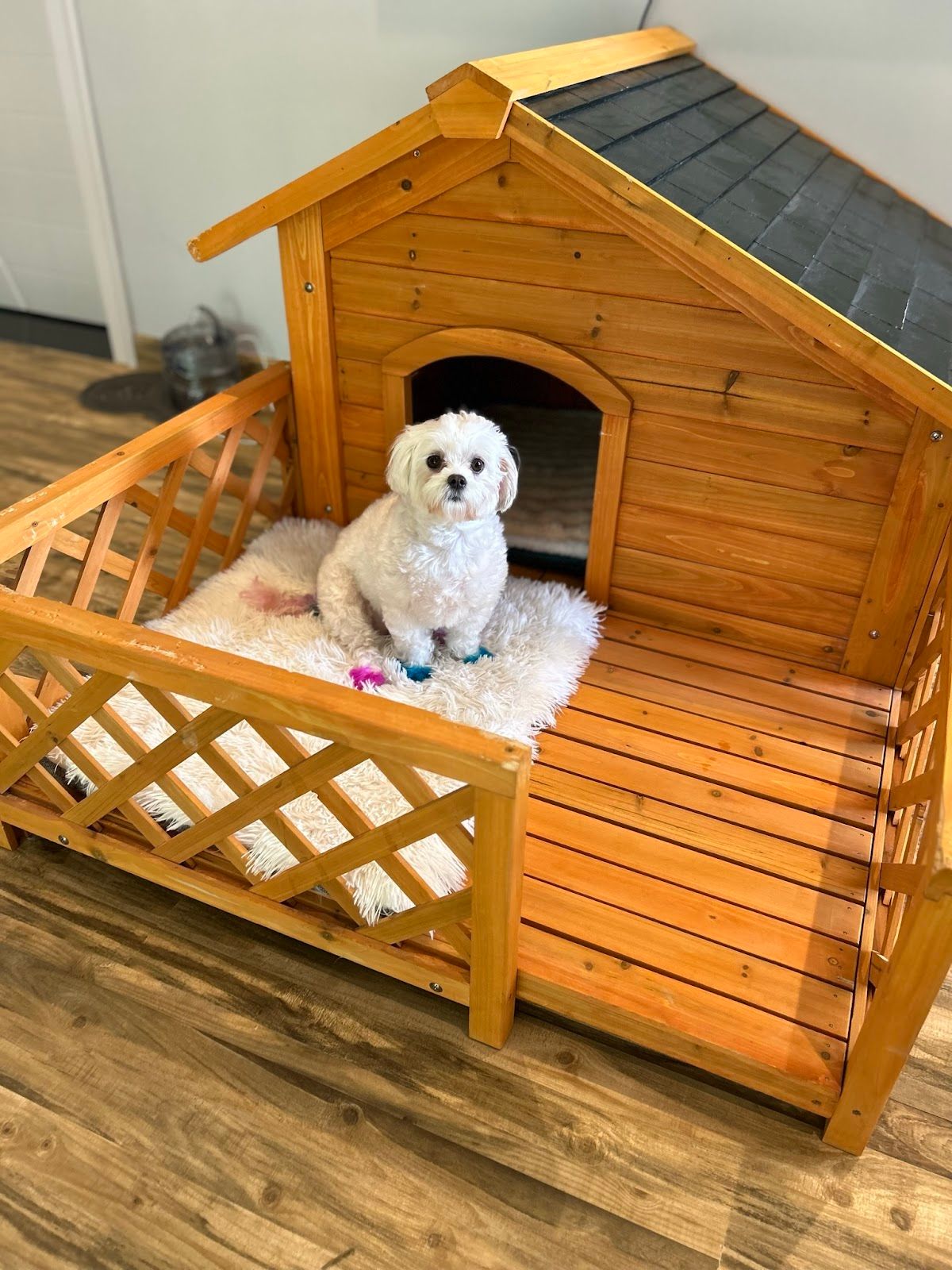 Shoosh World For Domestic Pets Boarding 3
