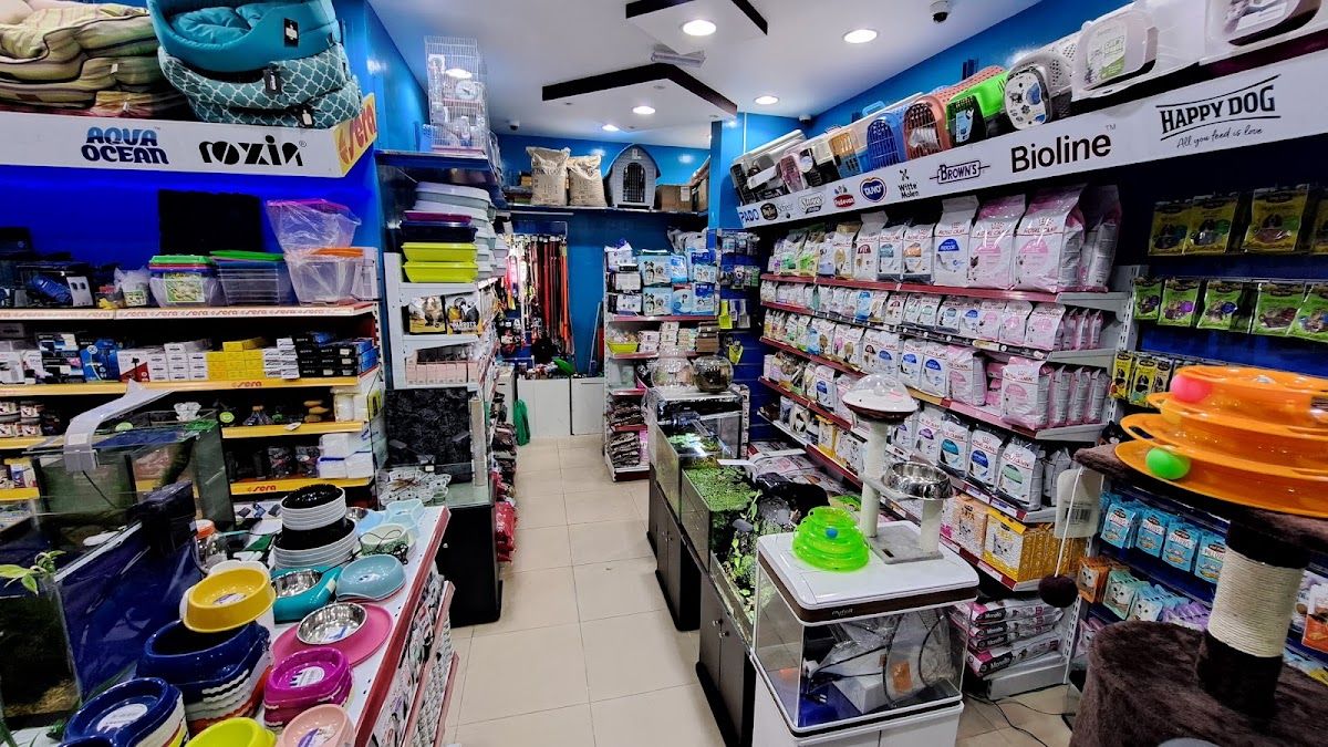 Sharjah Aquarium (Pet & Fish Shop) 5