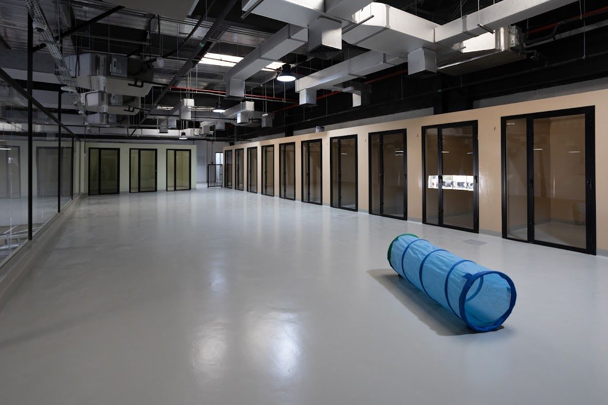 Urban Tails Pet Resort 4