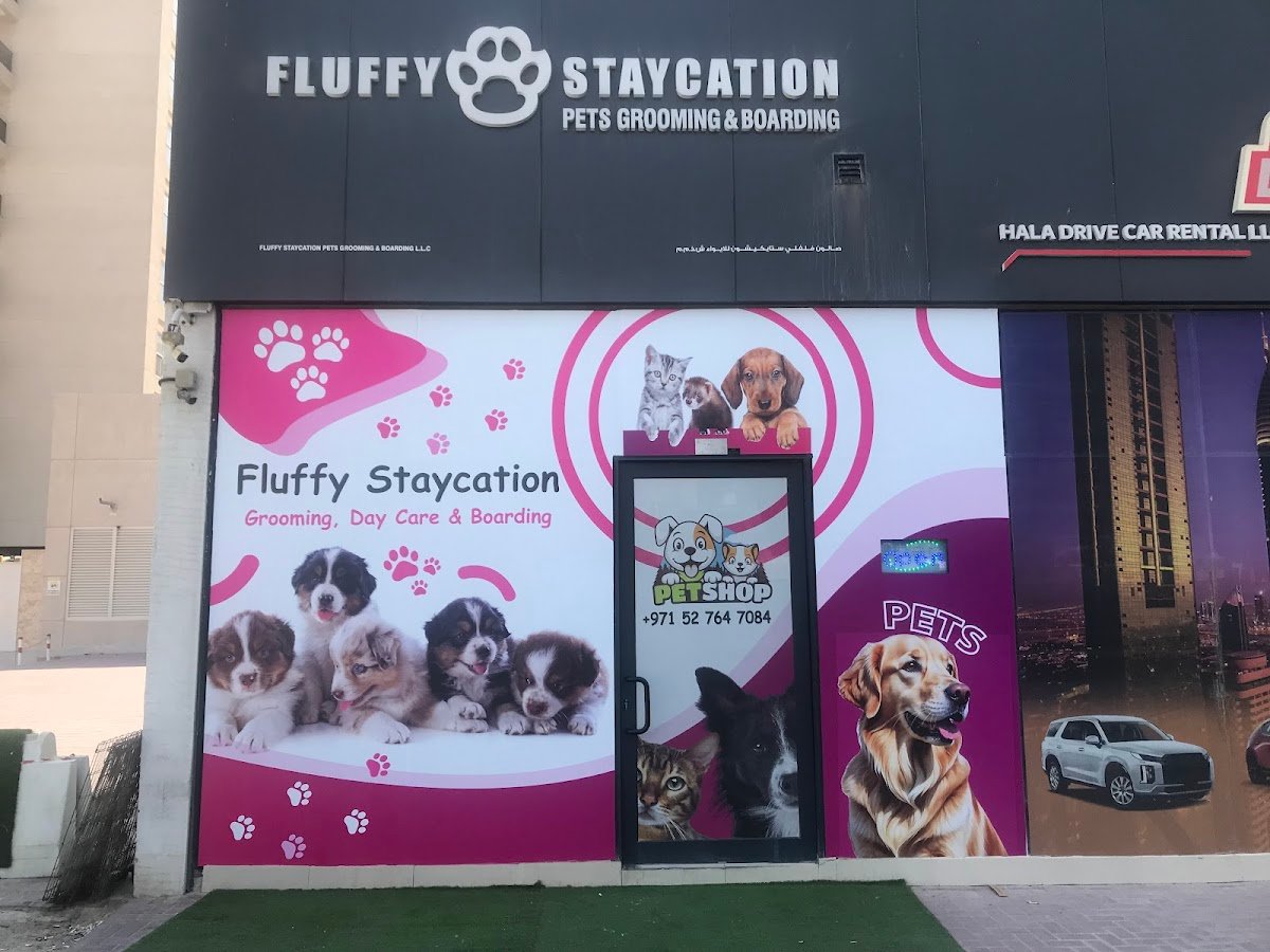 Fluffy Staycation Pets Grooming