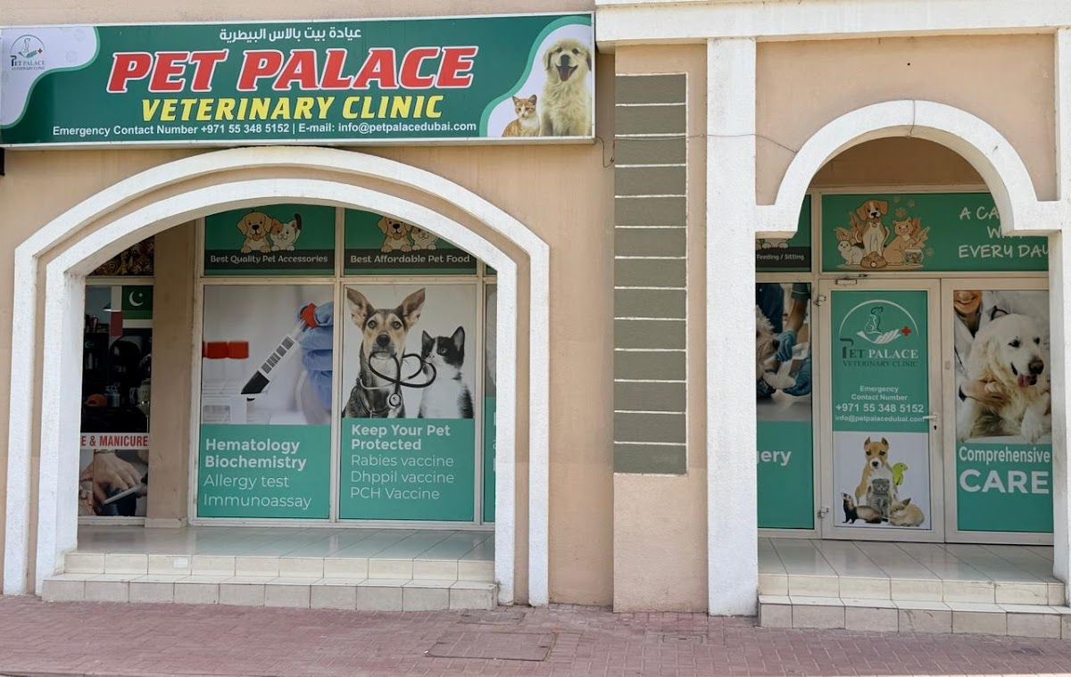Pet Palace Veterinary Clinic 2