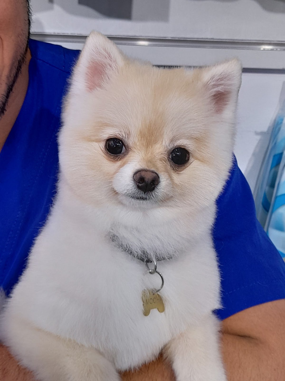 Casper Pet Salon & Spa