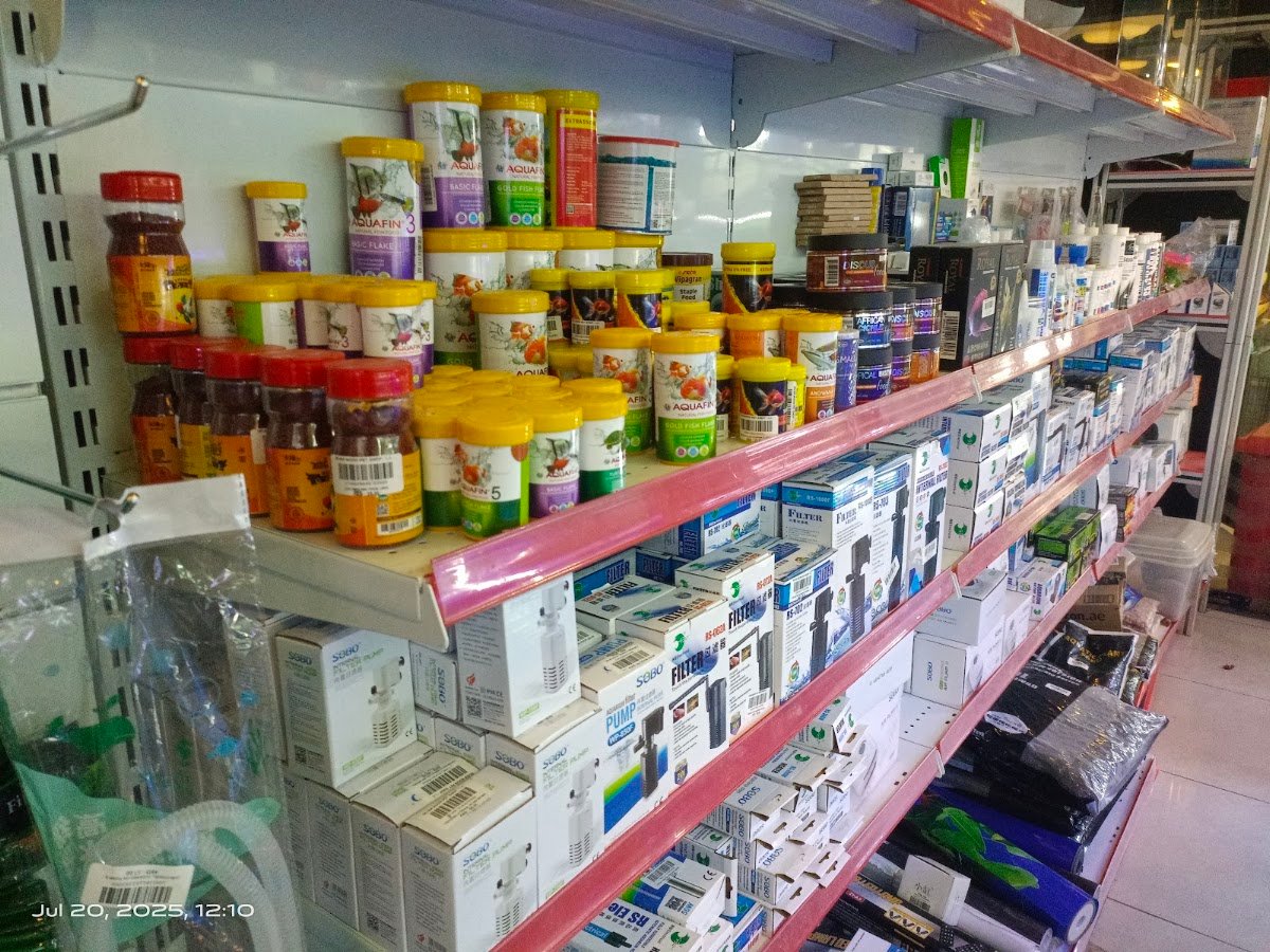 River Moon Pet Shop photo 2