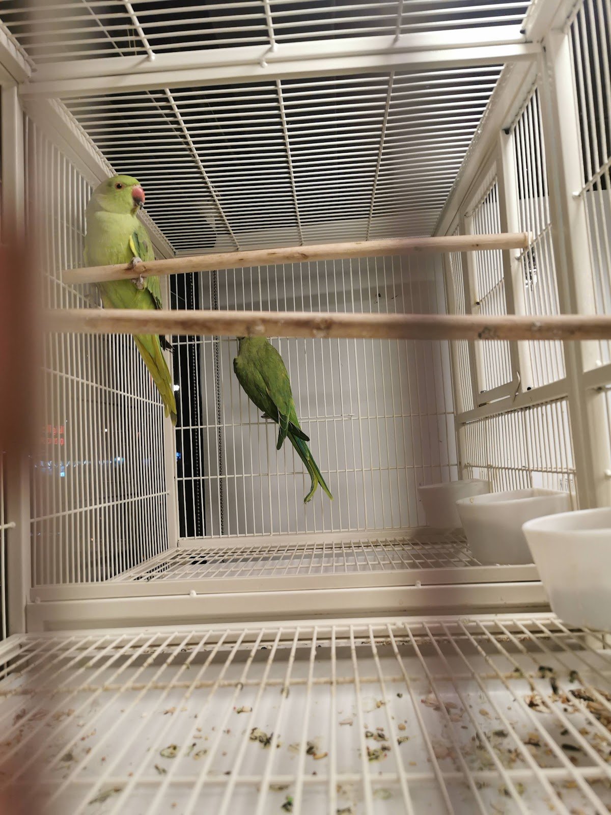River Moon Pet Shop photo 4