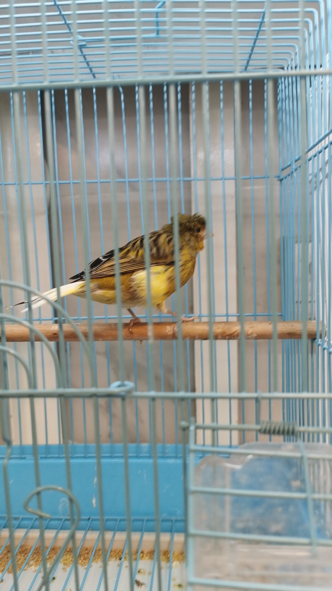 River Moon Pet Shop photo 5