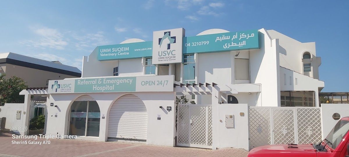 Umm Suqeim Veterinary Centre 5