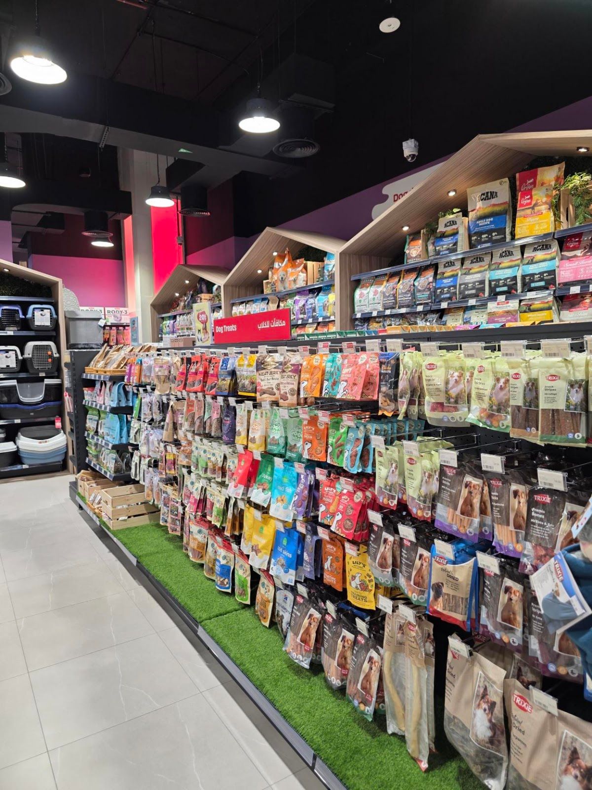 The Petshop JVC 2