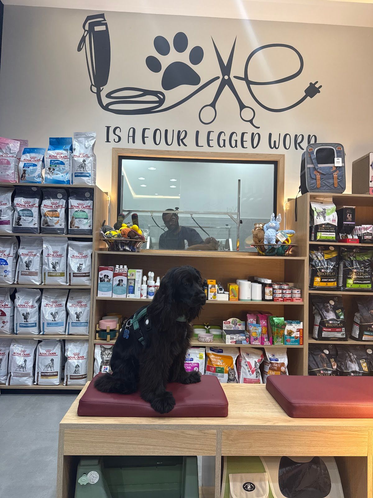 Paw Prints Veterinary Clinic 2