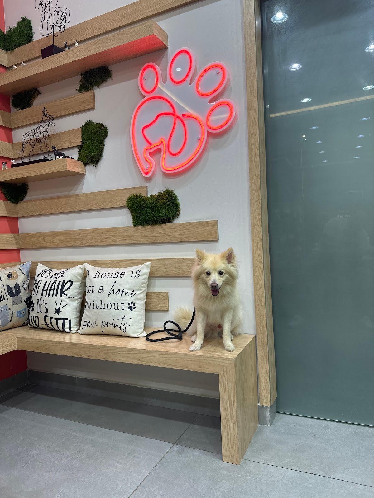 Paw Prints Veterinary Clinic 3