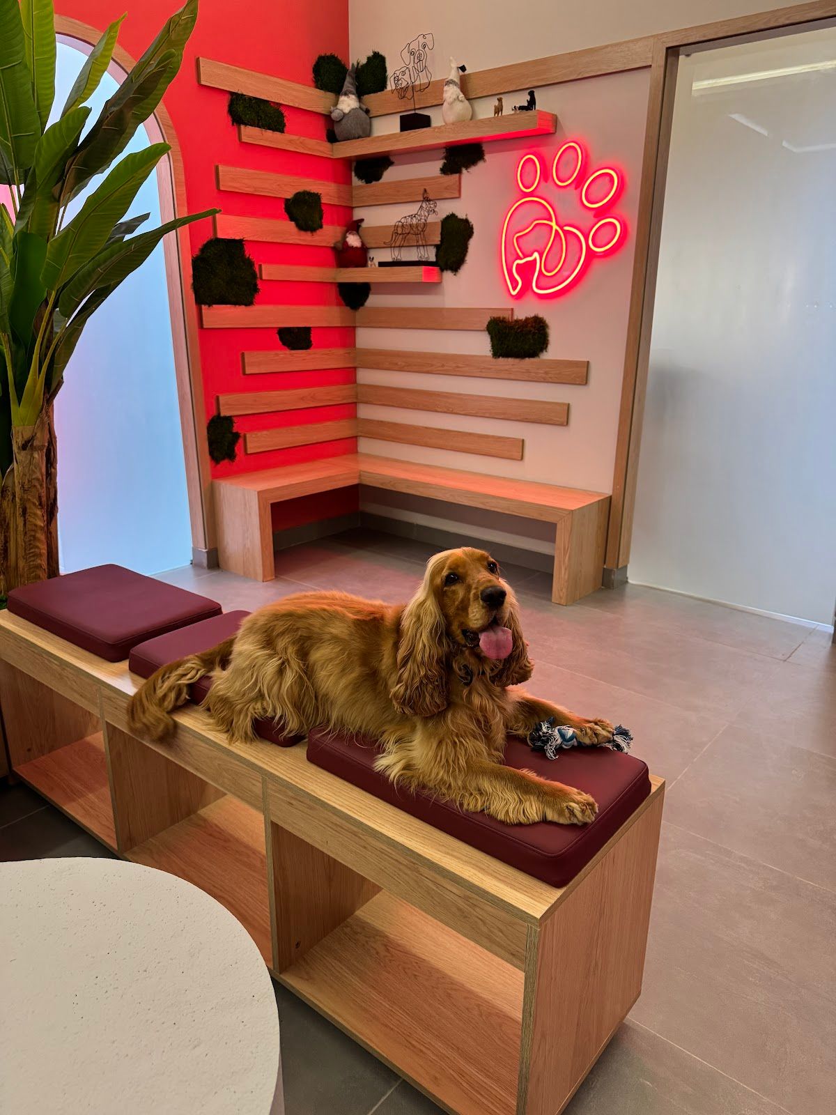 Paw Prints Veterinary Clinic 4