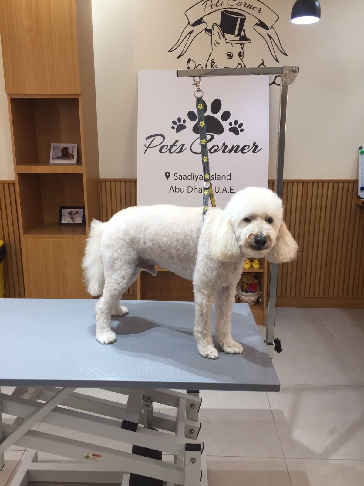 Pets Corner Saadiyat Island