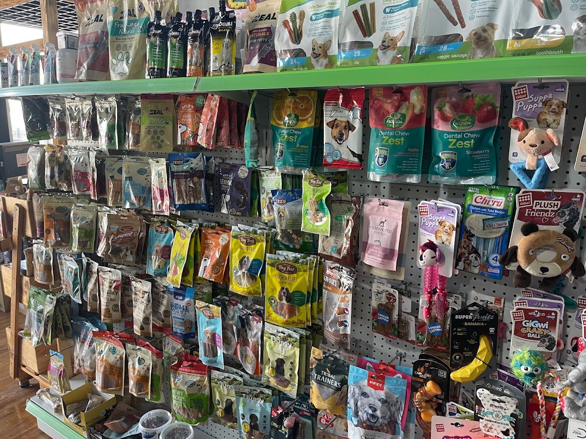 Luxury Pets Grooming 3