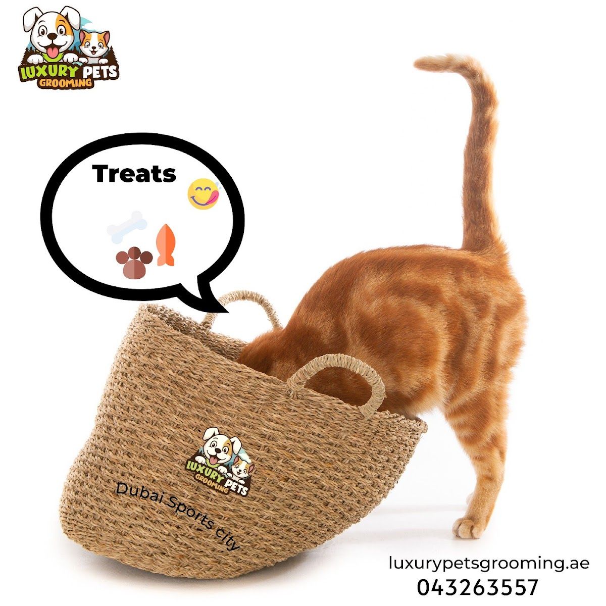 Luxury Pets Grooming 5