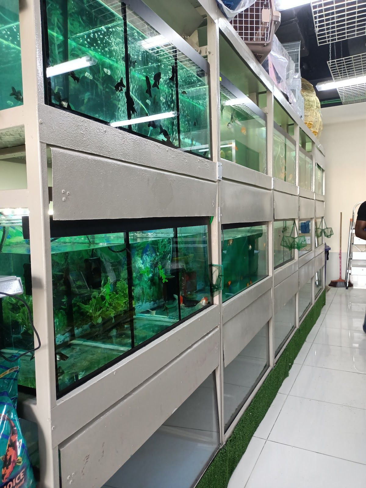 Al Faria Fish and Birds Trading LLC 4