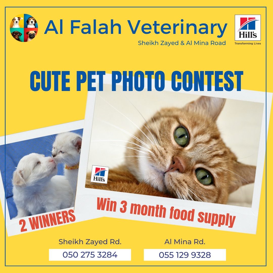Al Falah Veterinary Clinic 3