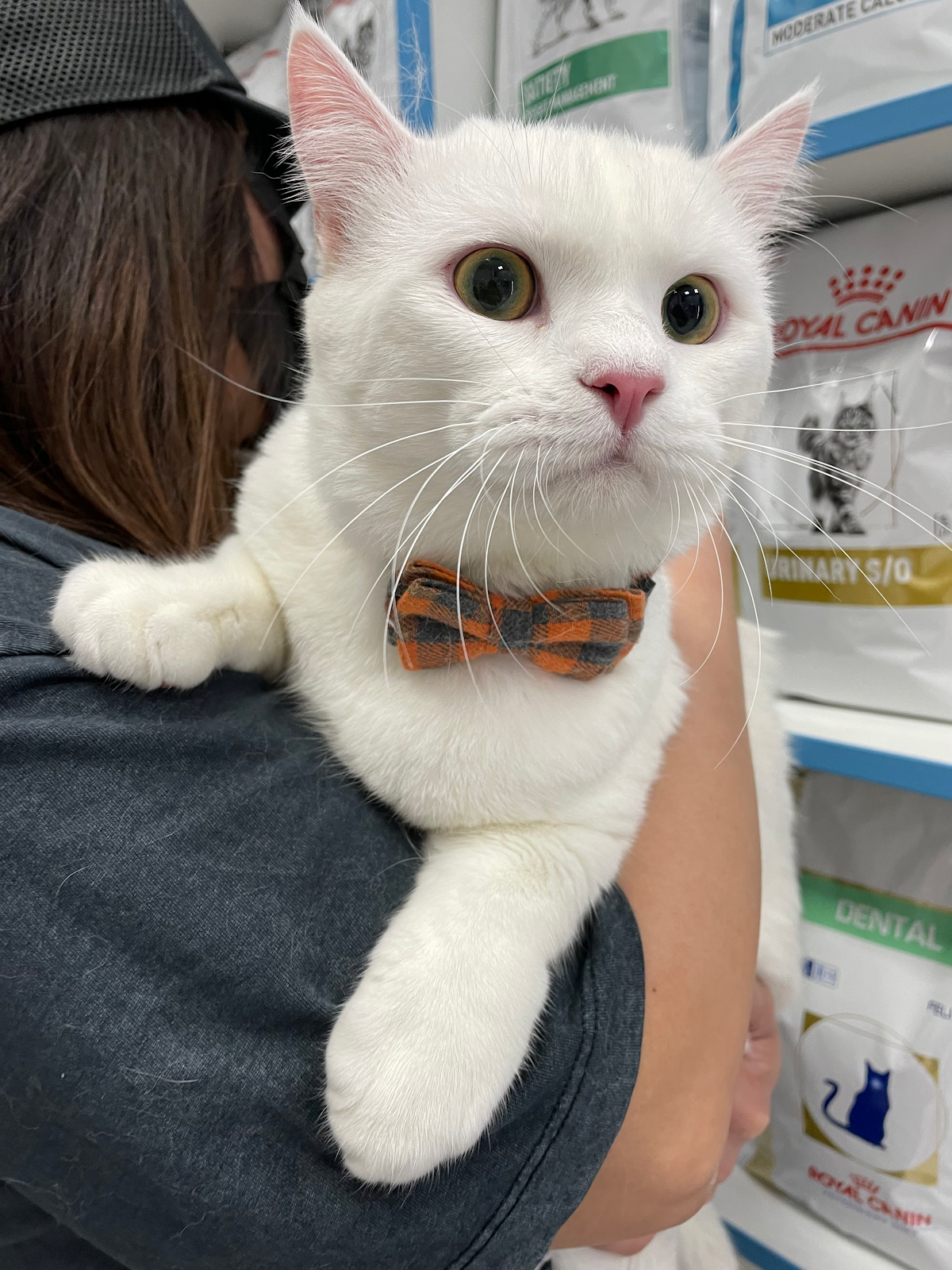 Al Falah Veterinary Clinic 5