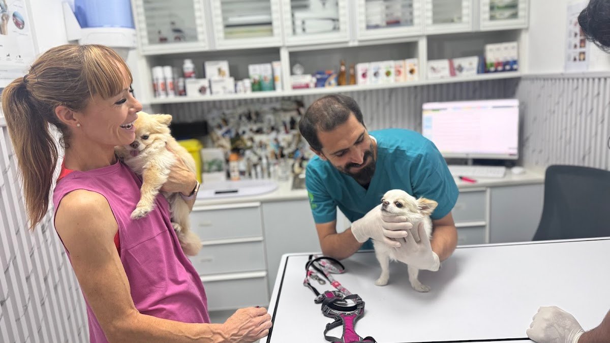 Purr and Bark Pet Veterinary Clinic photo 2