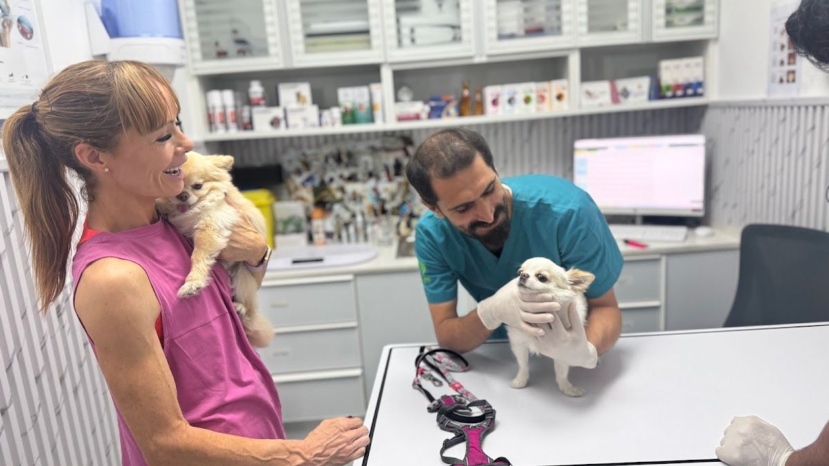 Purr and Bark Pet Veterinary Clinic 2