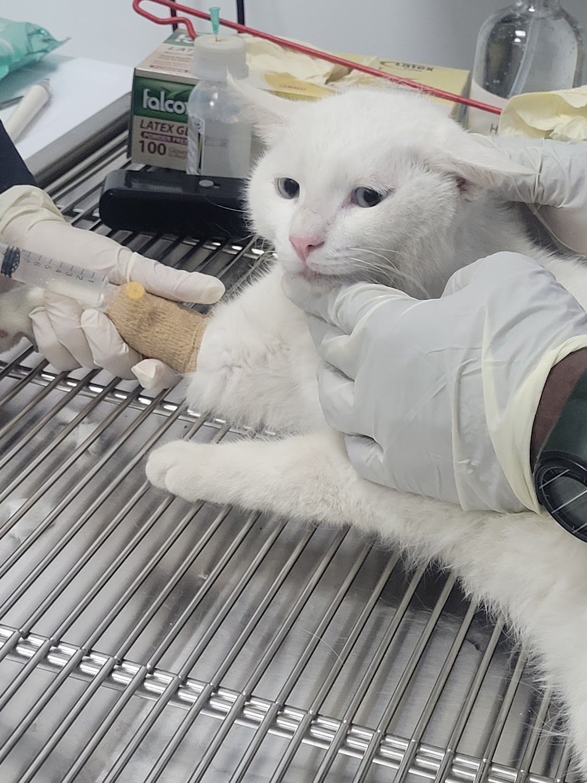 Purr and Bark Pet Veterinary Clinic 4