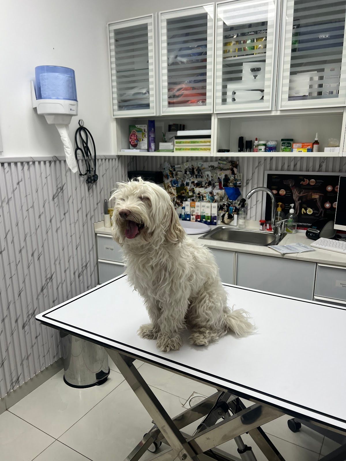 Purr and Bark Pet Veterinary Clinic 5