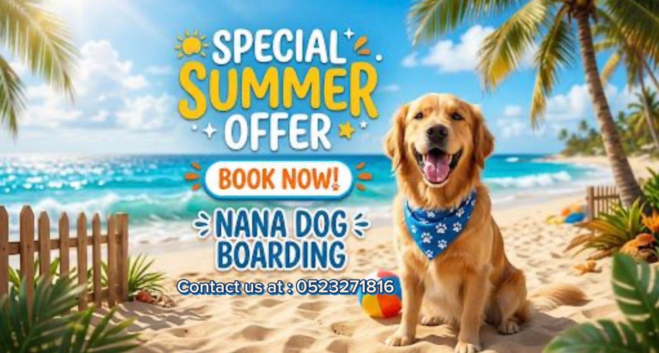 Nana Dog Boarding 2