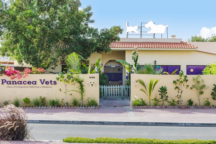 Energetic Panacea Veterinary Clinic 2