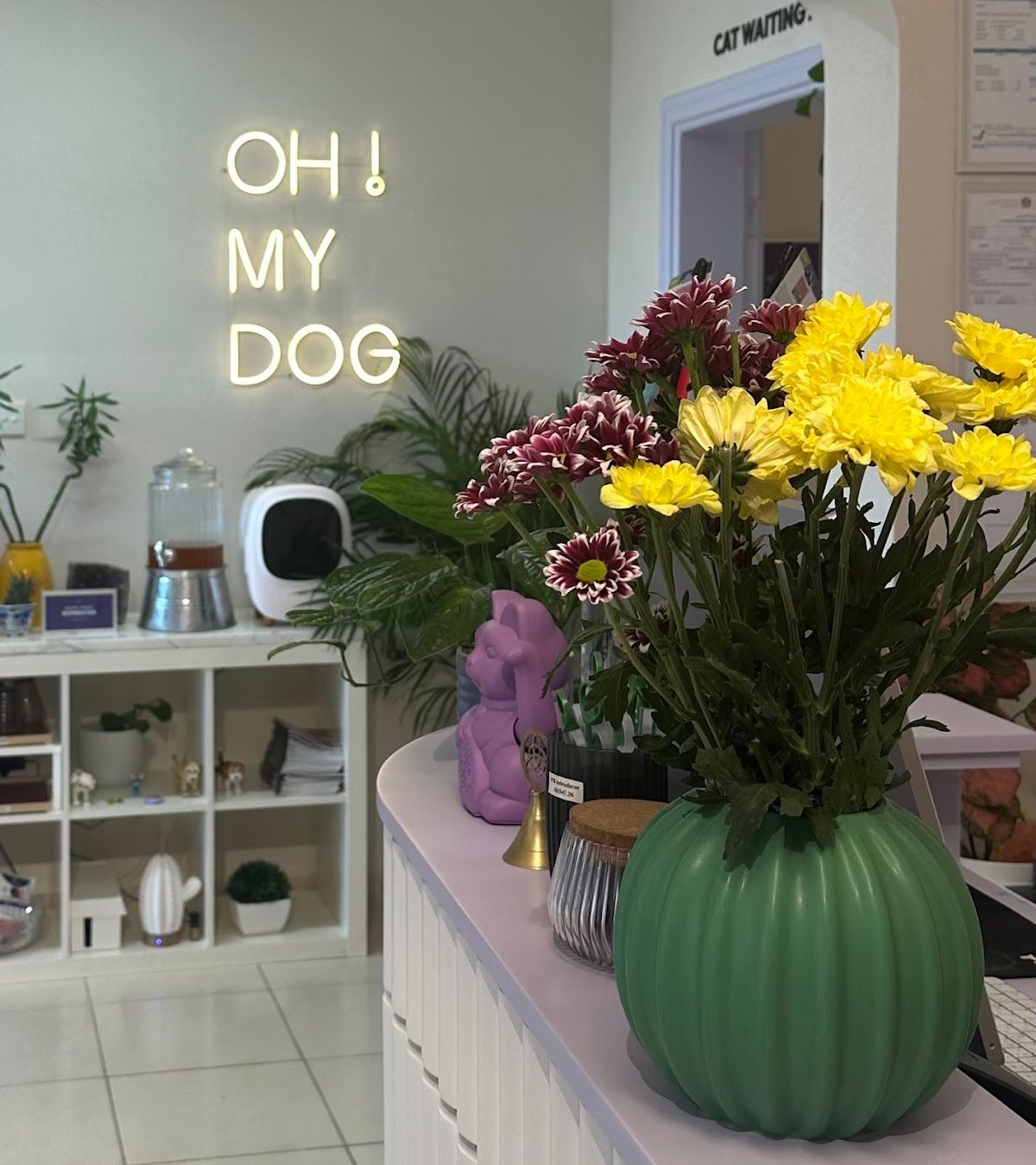 Energetic Panacea Veterinary Clinic 4