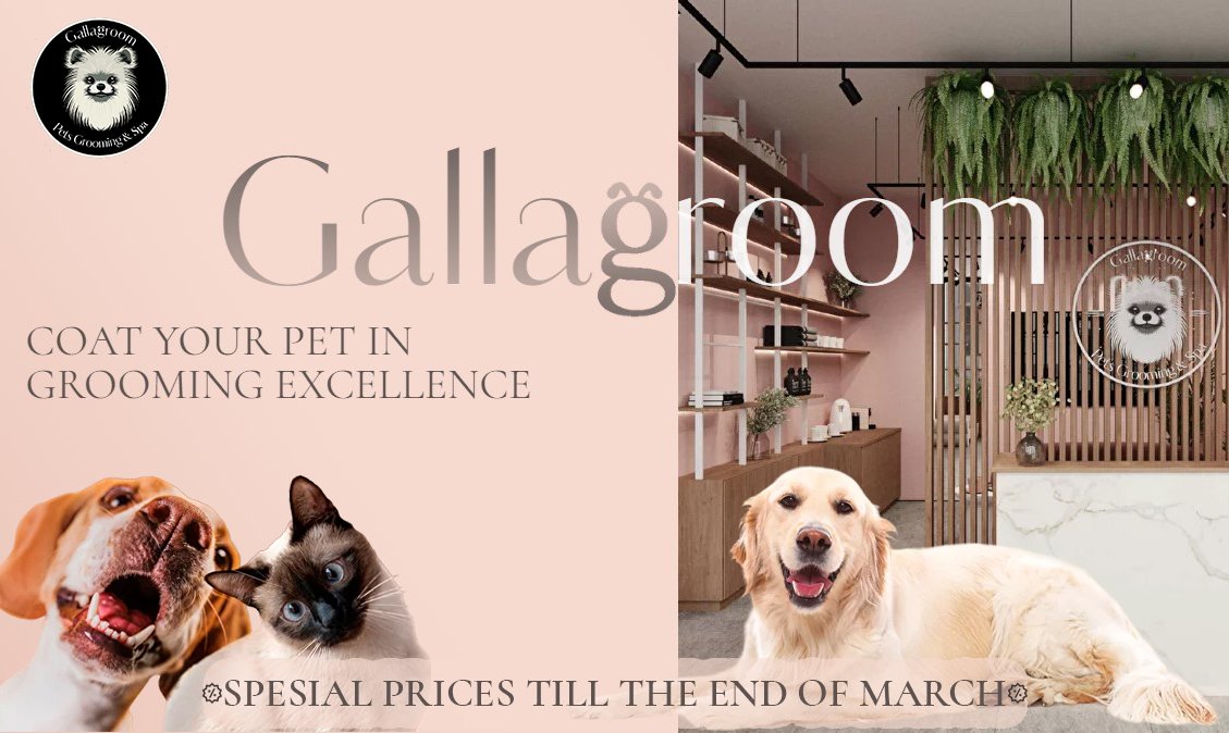 Gallagroom pets grooming & spa