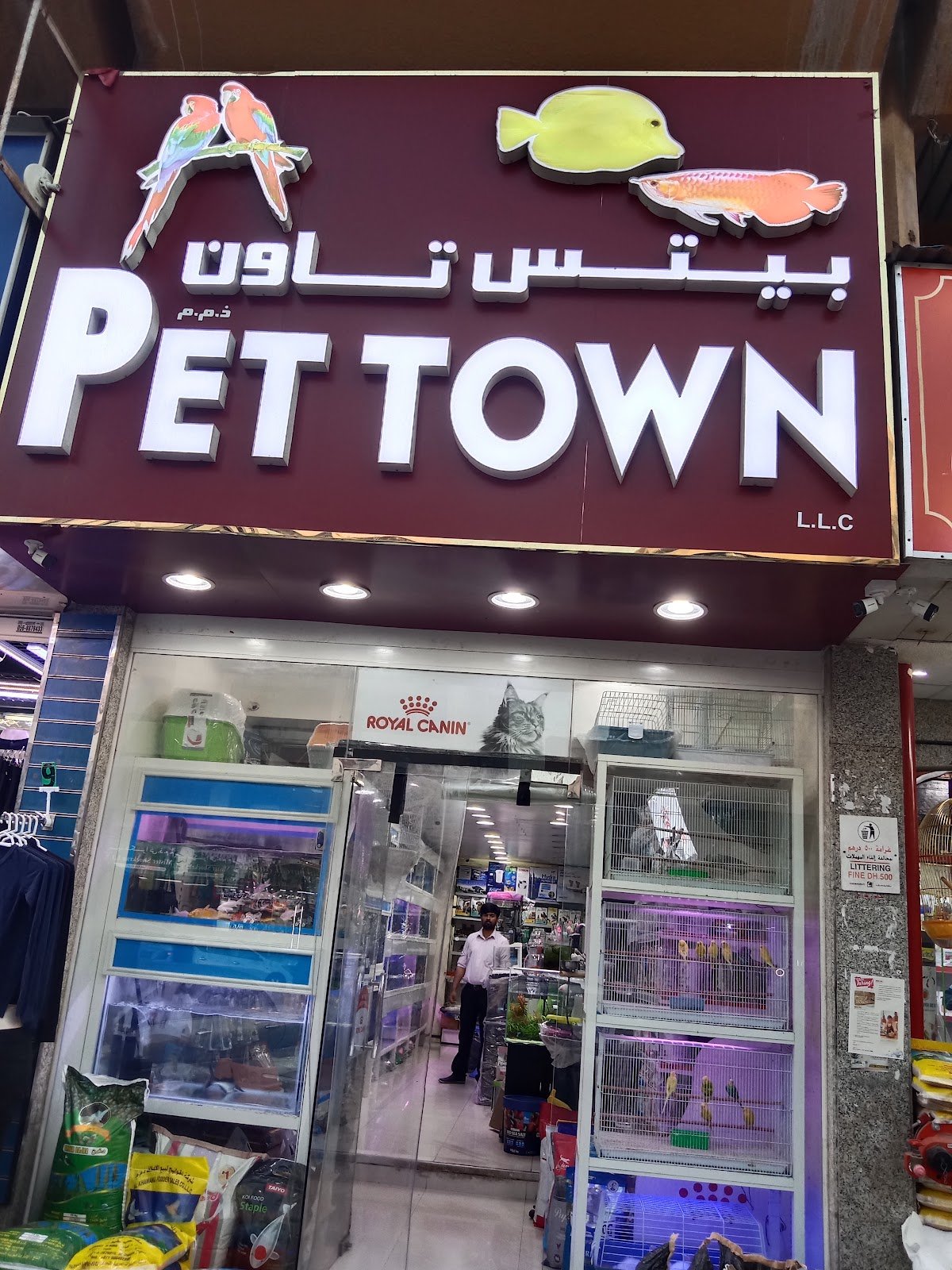 Pet Town