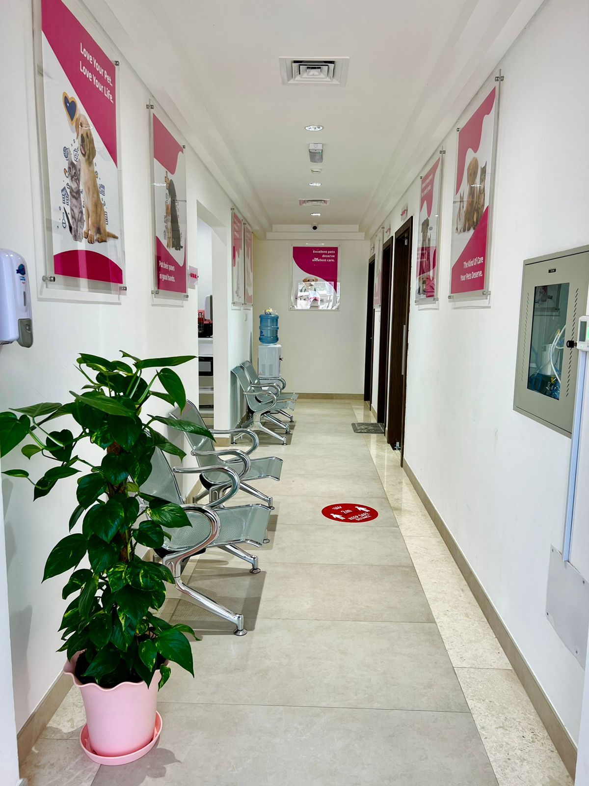 Perfect Dose Veterinary Clinic 4