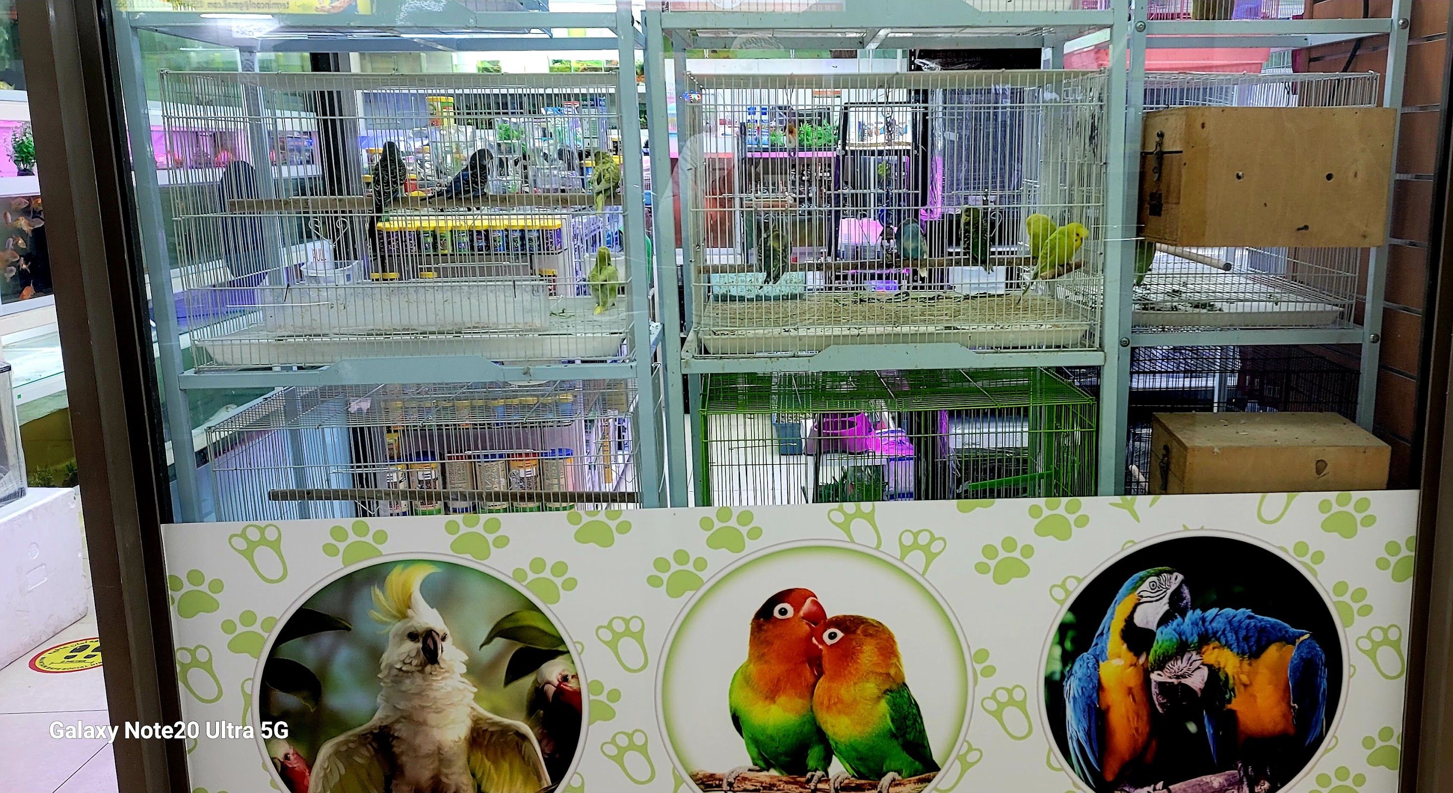 Alaska Pets Trading 3
