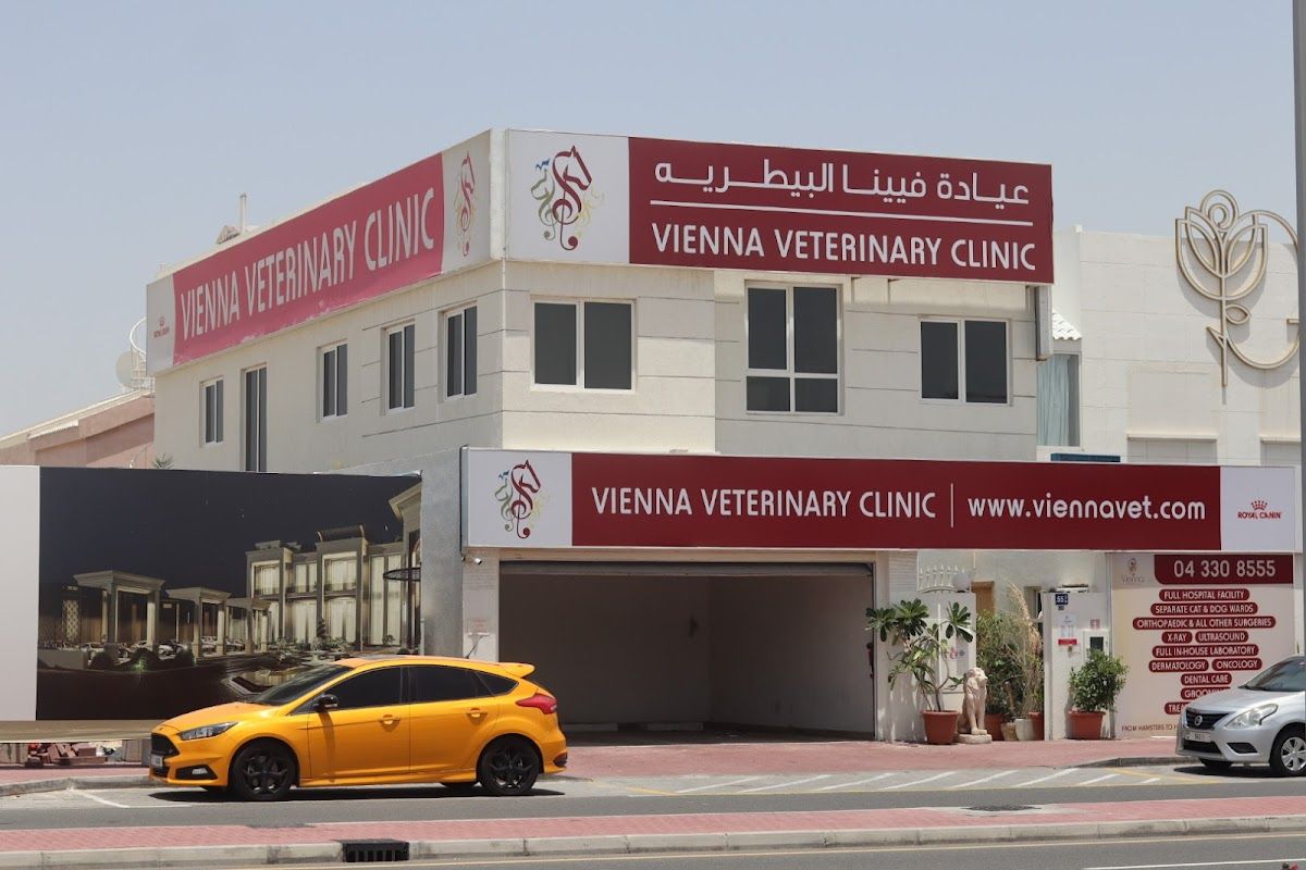 Vienna Vet 3