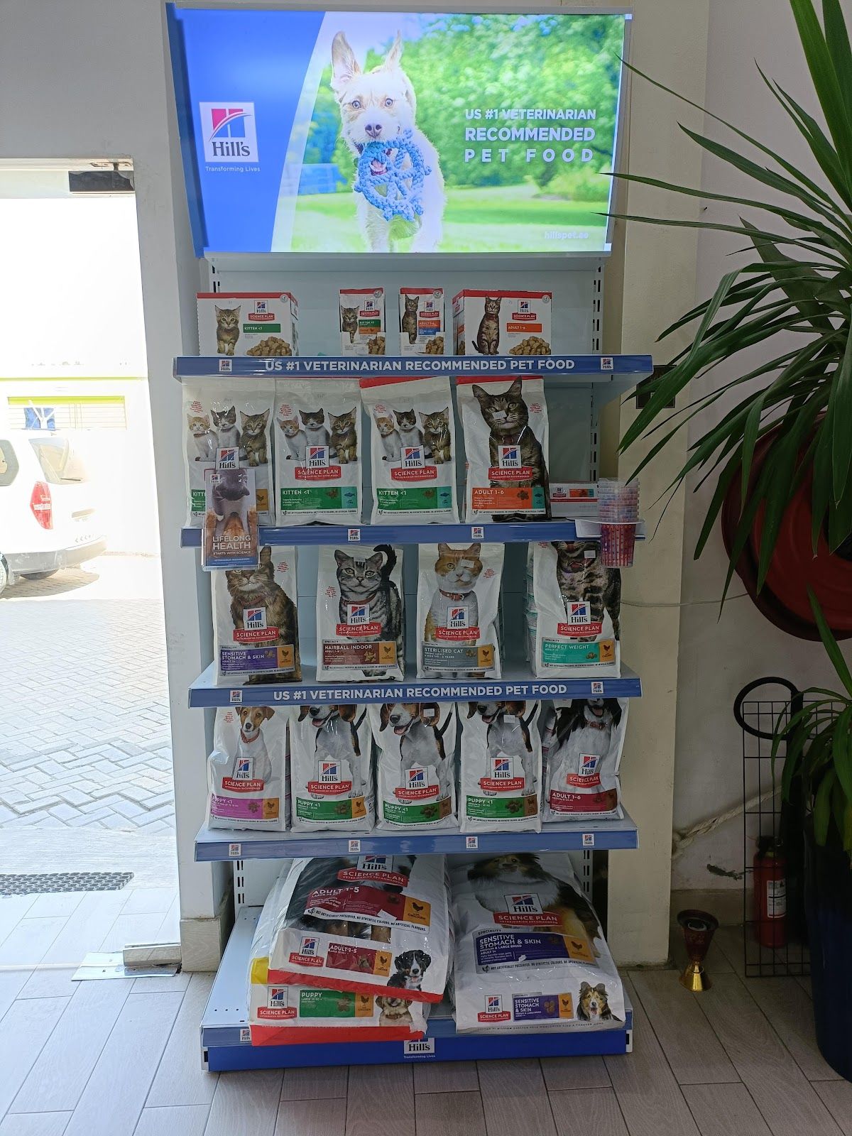 Paws and Whiskers Pets Nursery 2