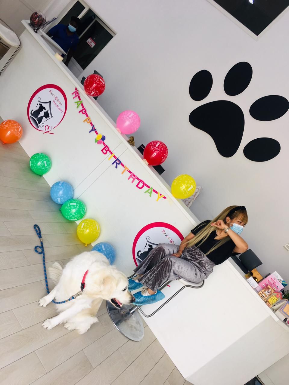 Paws and Whiskers Pets Nursery 5