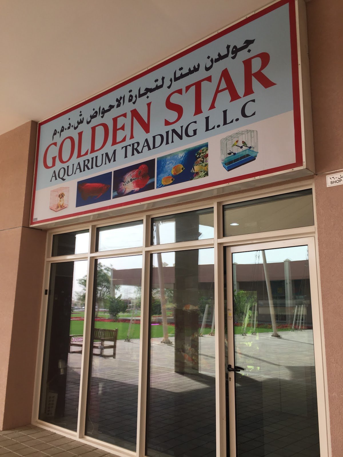 Golden Aquarium Trading