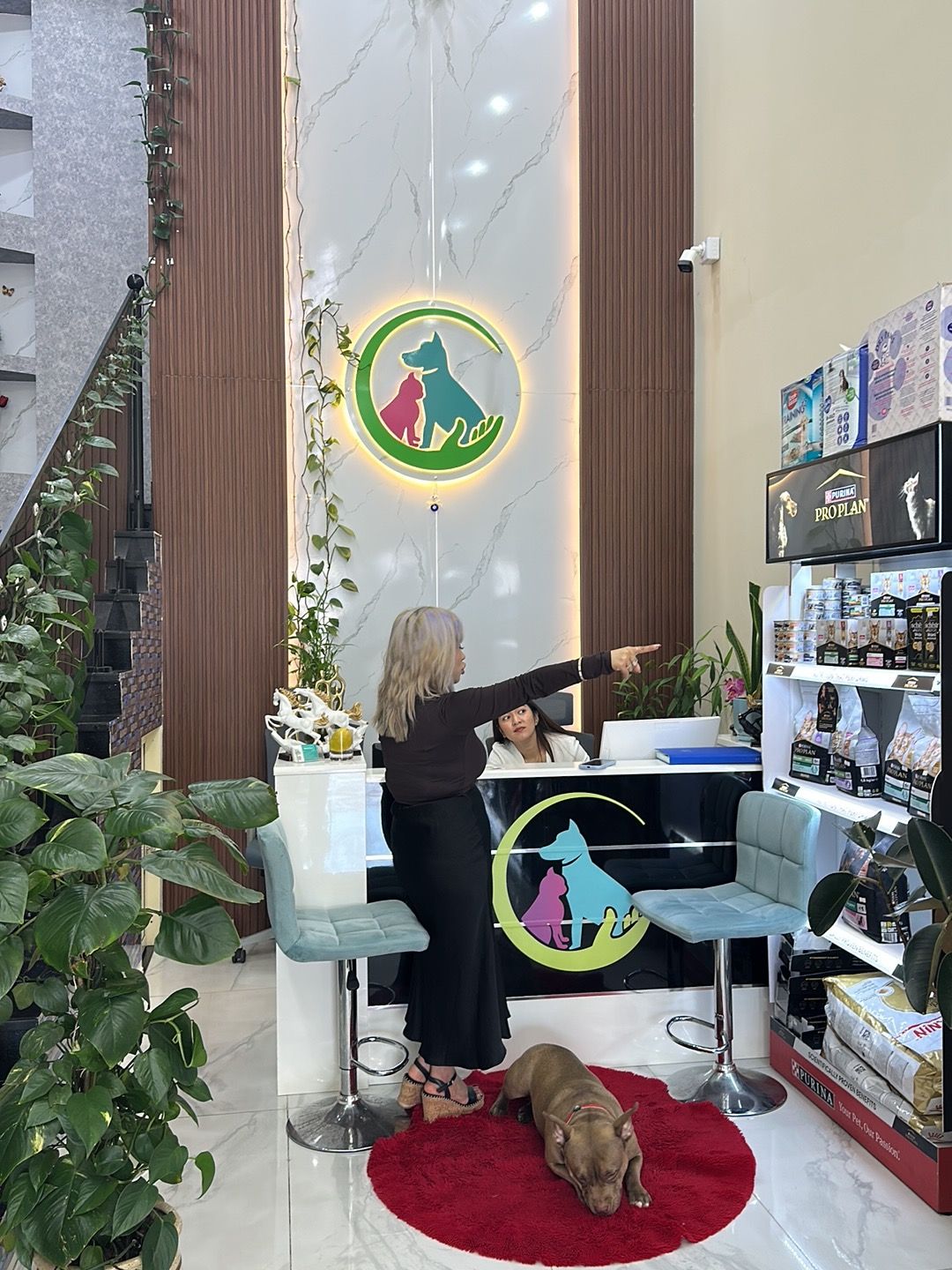Fancy & Furry Pets Care in Dubai | Cat & Dog Boarding Hotel - Grooming - Daycare - Training 5