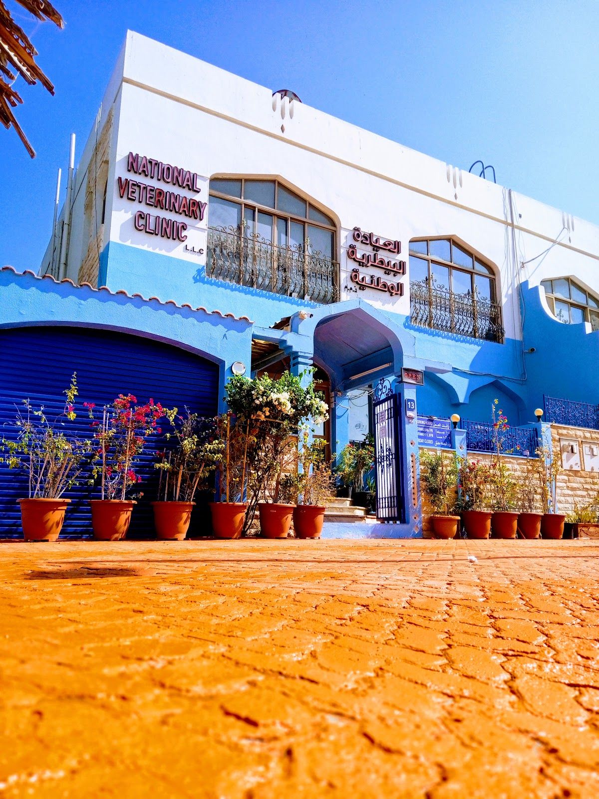 National Veterinary Clinic 3