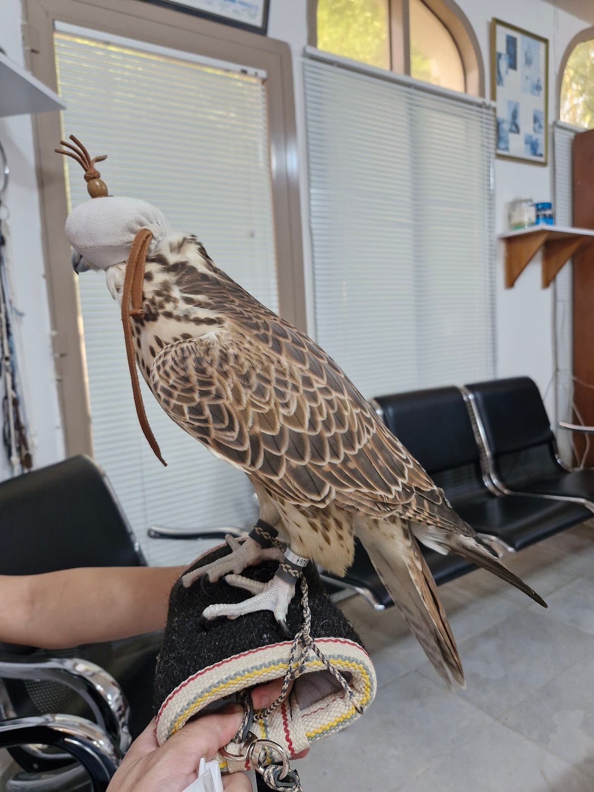 National Veterinary Clinic 5