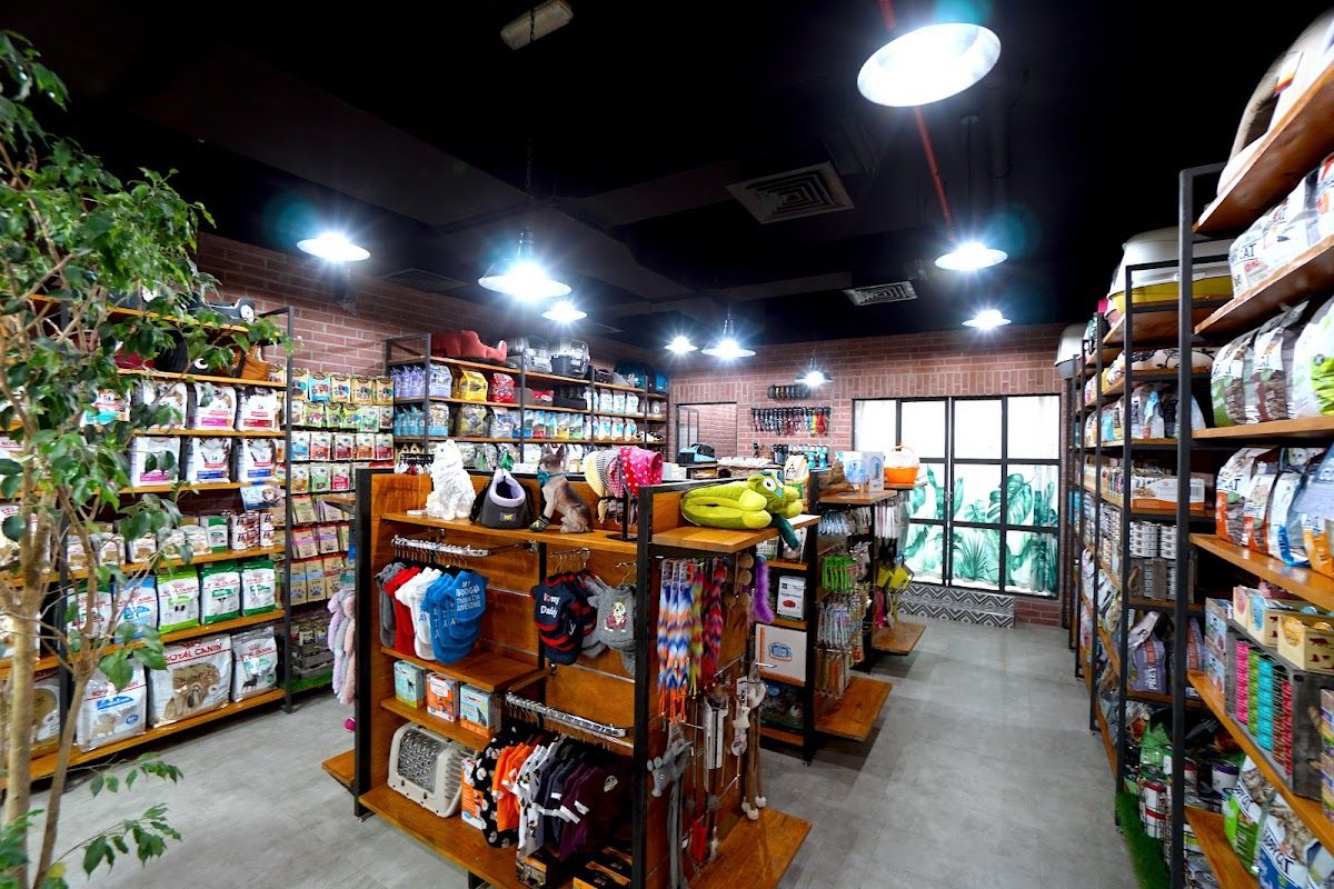 Pet Boutique Daycare & Spa 2