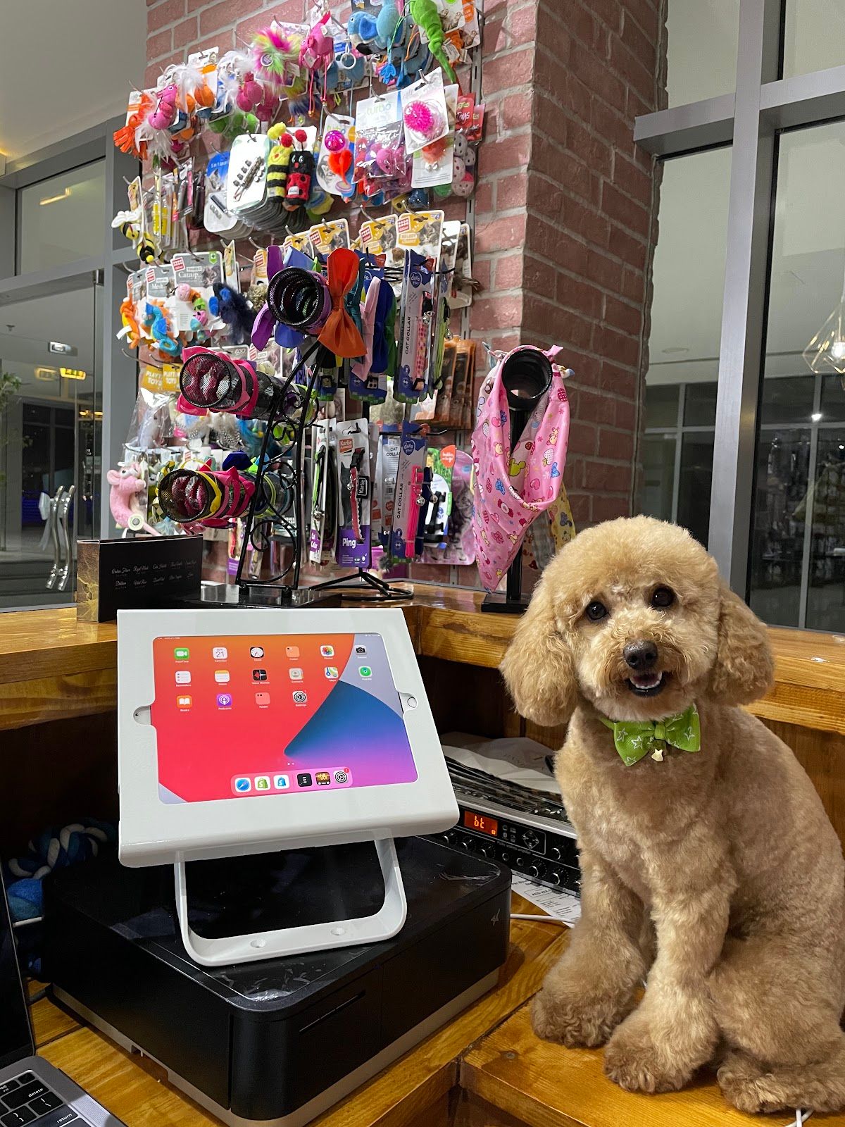 Pet Boutique Daycare & Spa 4