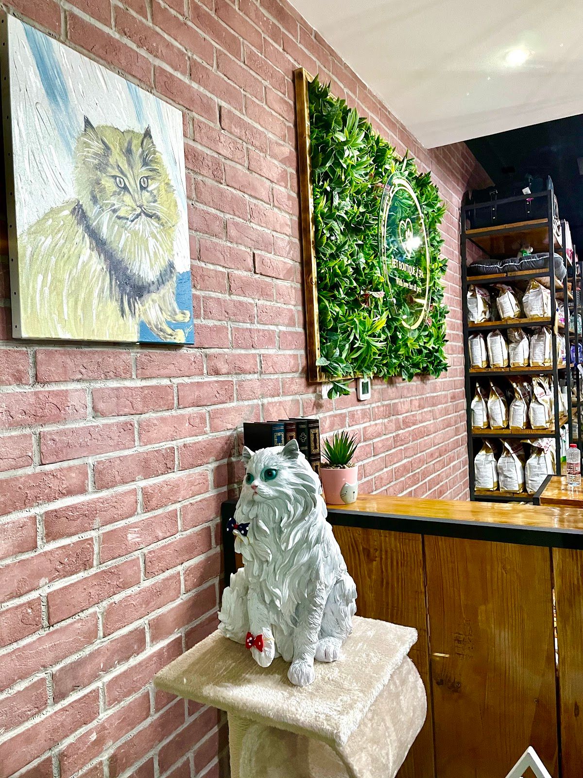 Pet Boutique Daycare & Spa 5