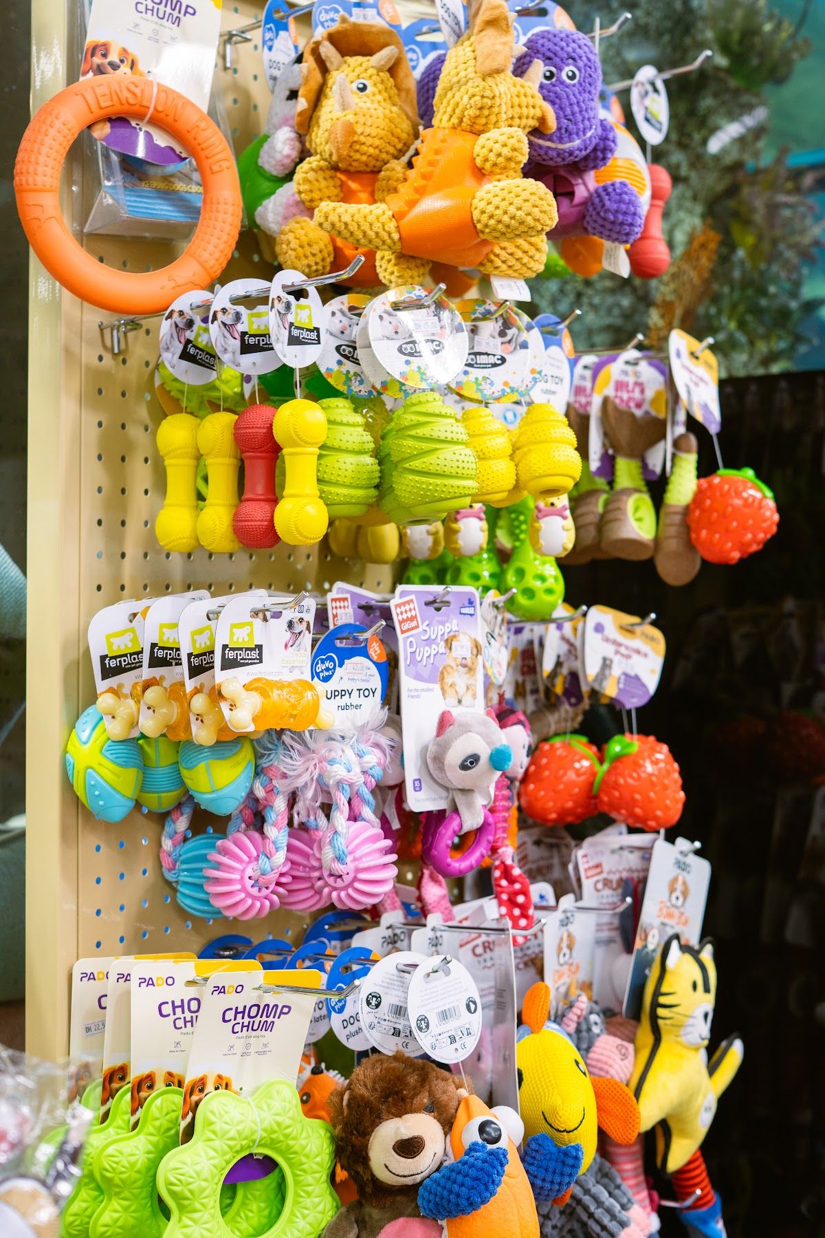 Pets Plus Express 3
