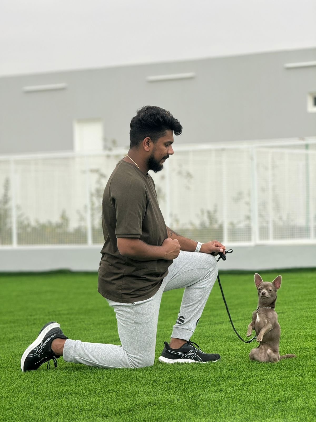 Doggy Oasis Dog Training Center