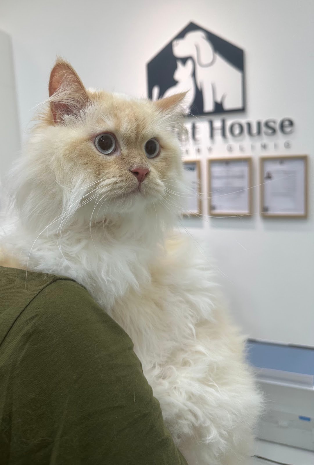 The Pet House Veterinary Clinic photo 2