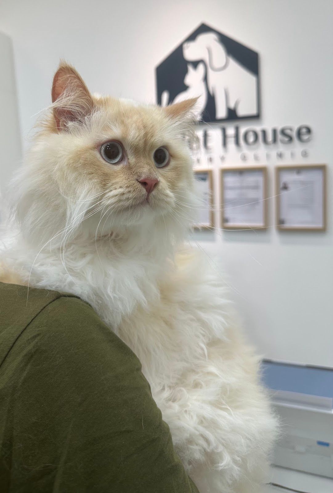 The Pet House Veterinary Clinic 2