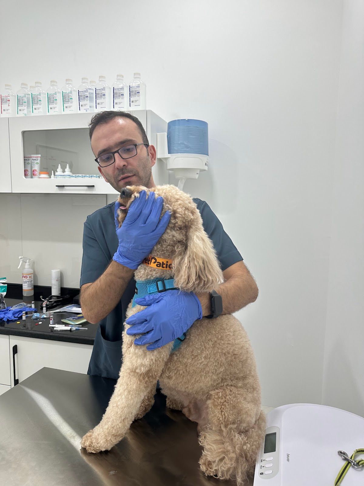 The Pet House Veterinary Clinic 3